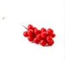 Schisandra