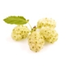 Mûre blanche (mulberry)