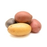 Pomme de terre