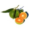 Mandarine verte