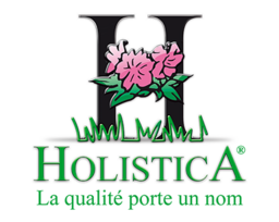 Holistica