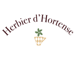 Herbier d'Hortense
