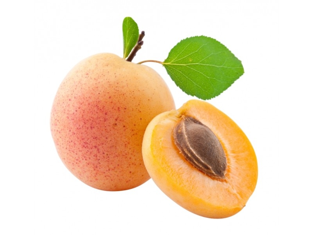 Huile végétale Noyau d'abricot Bio