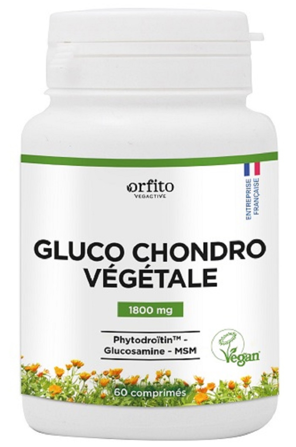 Gluco Chondro Végétale