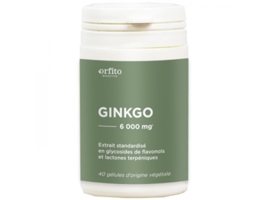 Ginkgo titré 6000 mg