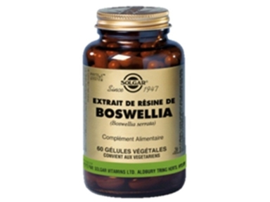 Boswellia extrait standardisé