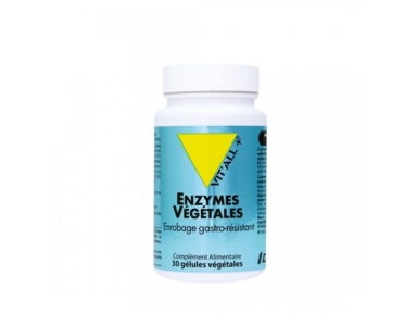 Enzymes végétales
