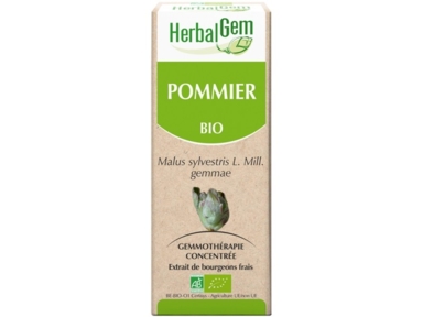 Pommier bourgeons Bio