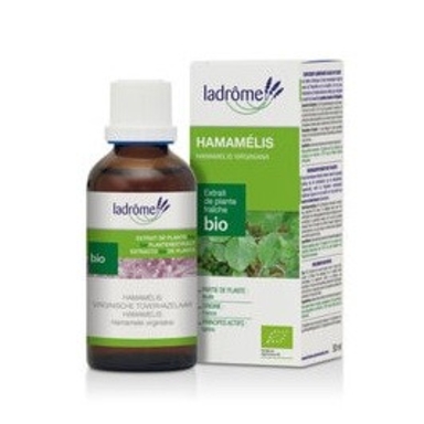 Hamamelis  Extrait de plante fraîche Bio