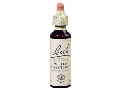 Fleur de Bach White Chestnut n°35