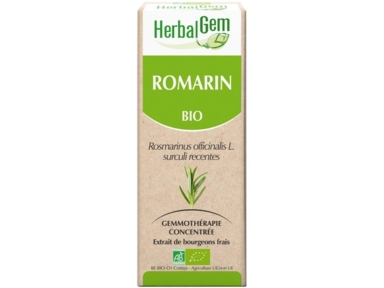 Romarin bourgeons Bio