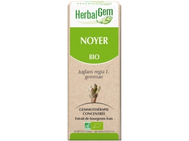 Noyer bourgeons Bio