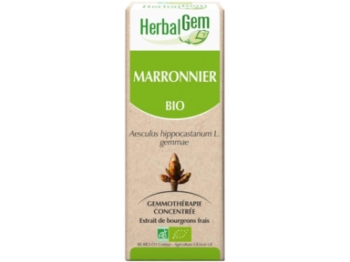 Marronnier bourgeons Bio