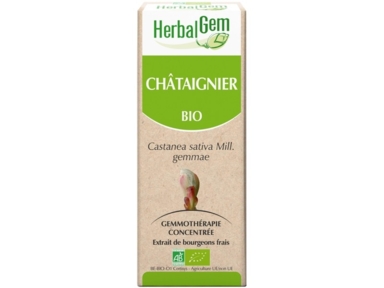Châtaignier bourgeons Bio