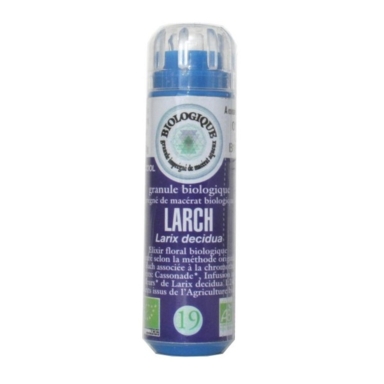 Fleur de Bach larch n° 19