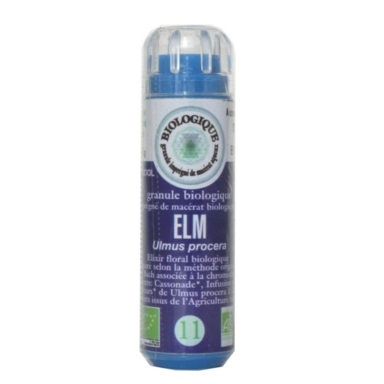 Fleur de Bach elm n° 11 Bio