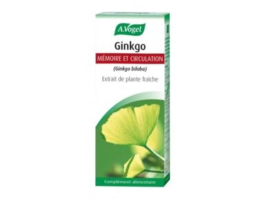 Ginkgo extrait de plante fraîche