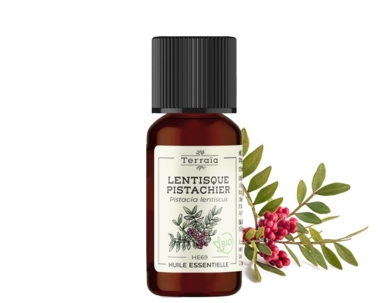 Huile essentielle Lentisque pistachier Bio