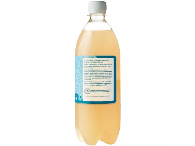 Kombucha saveur Gingembre Citron Bio