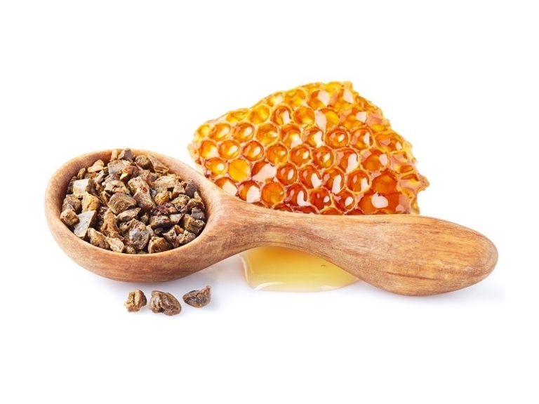 Gomme Propolis Eucalyptus Bio