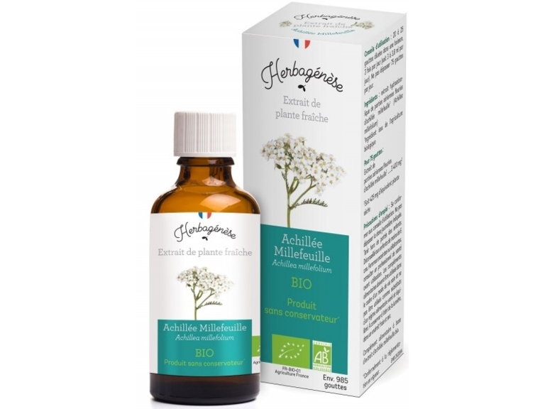Achillée Millefeuille Bio Extrait de plante fraîche