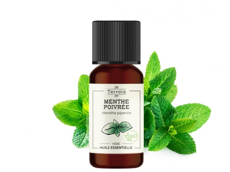 Huile essentielle Menthe poivrée Bio