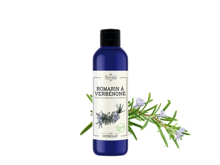 Hydrolat Romarin à verbénone Bio