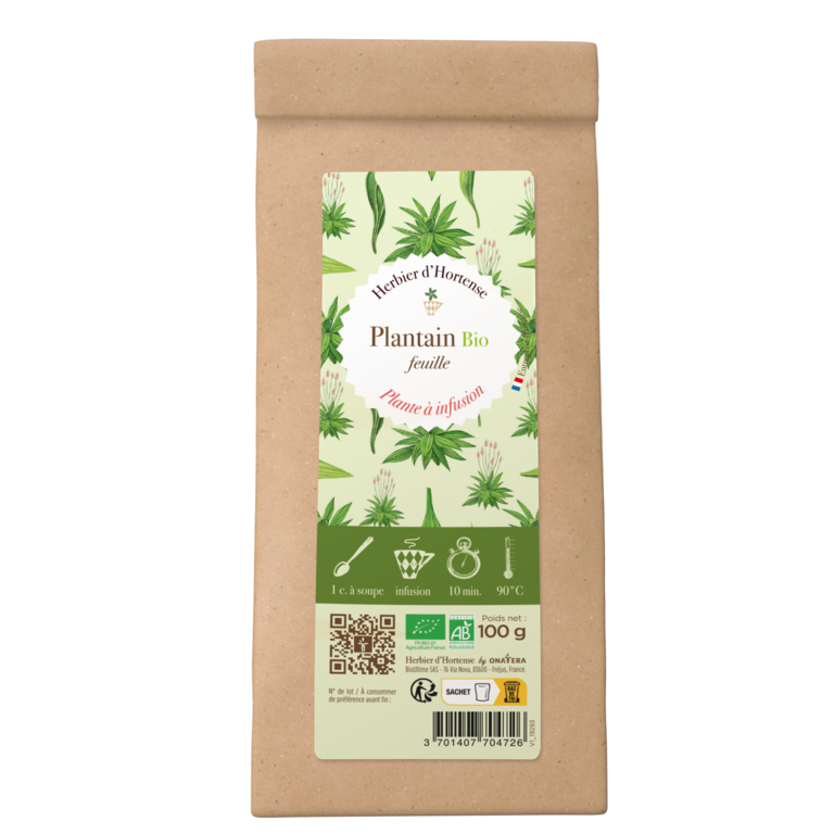 Plantain Feuilles Bio