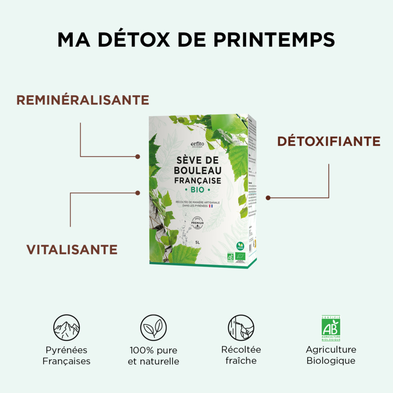 Sève de Bouleau Bio