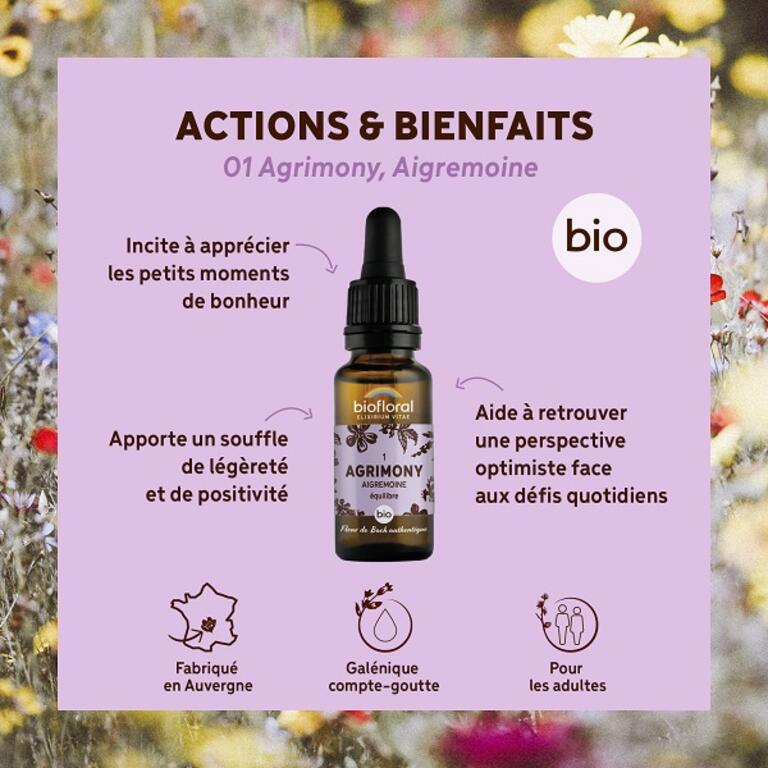 Fleur de Bach Agrimony N°1 Bio
