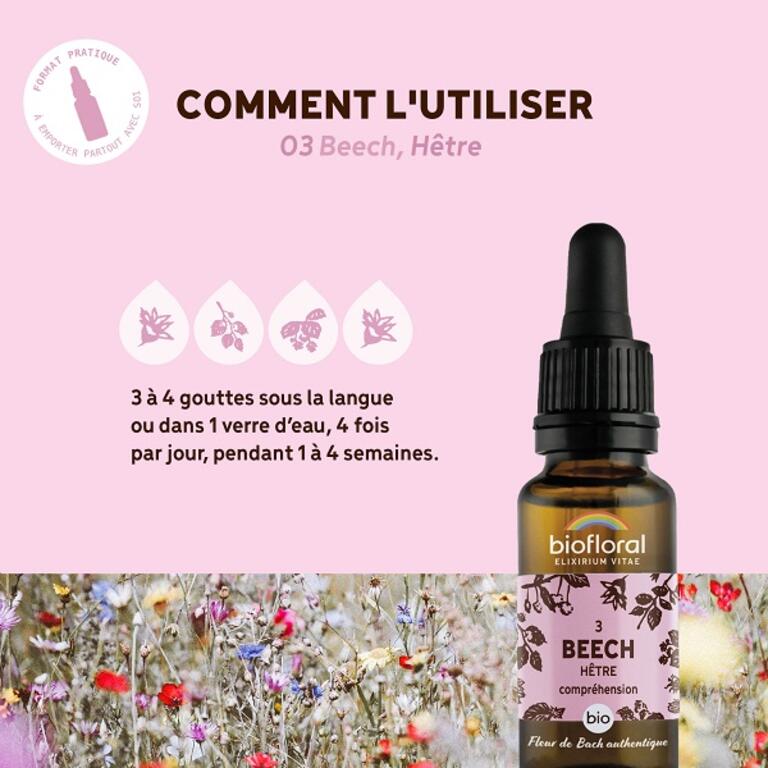 Fleur de Bach Beech N°3 Bio