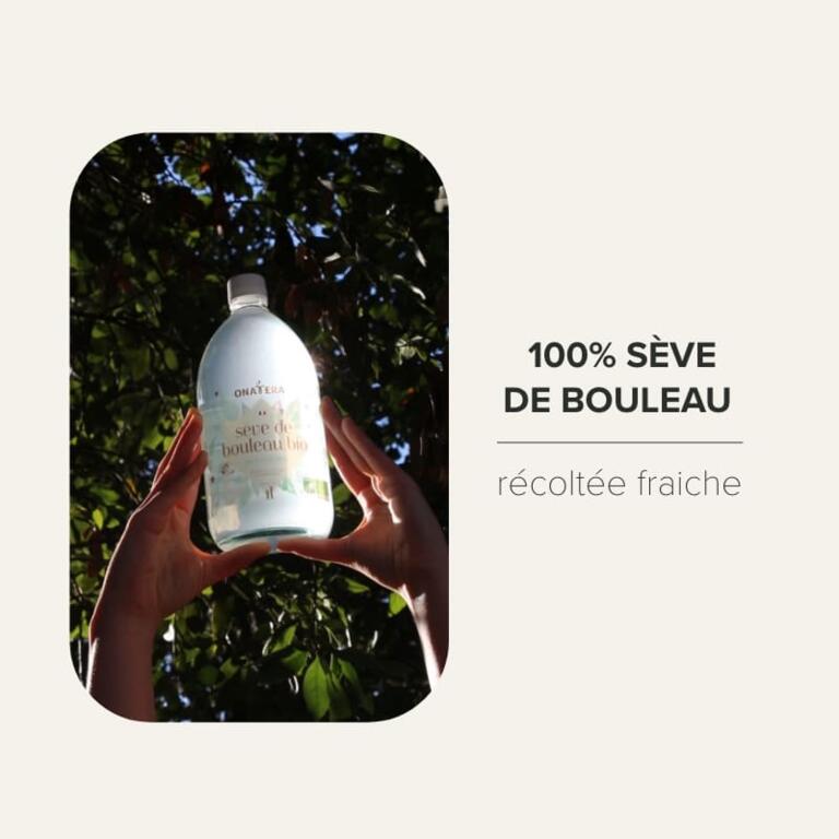 Sève de Bouleau Pure Bio