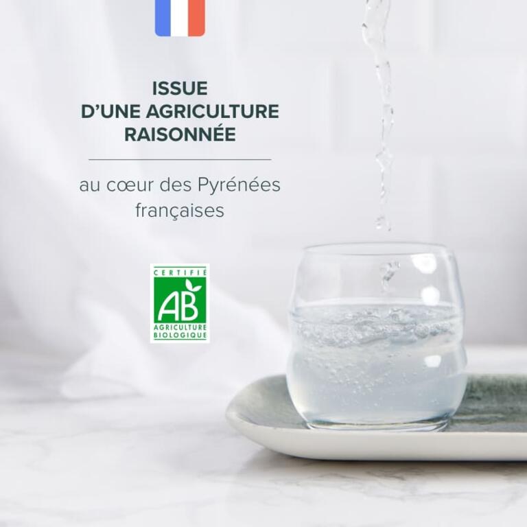 Sève de Bouleau Pure Bio