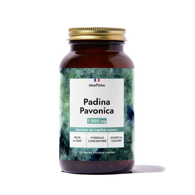 Padina Pavonica