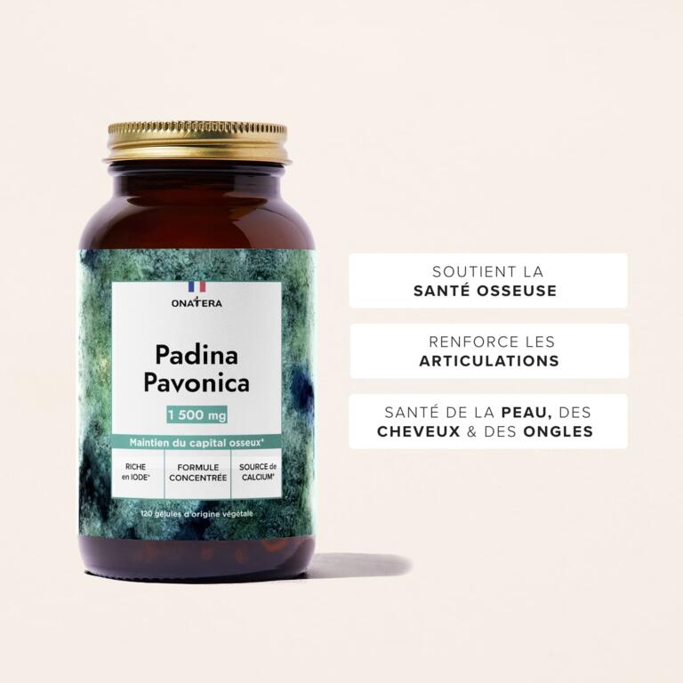 Padina Pavonica