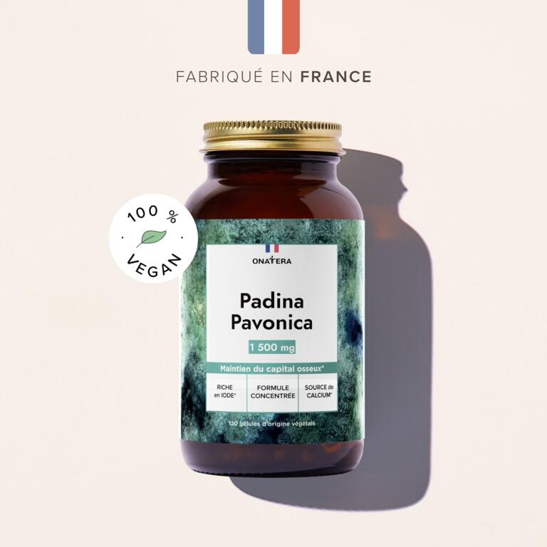 Padina Pavonica