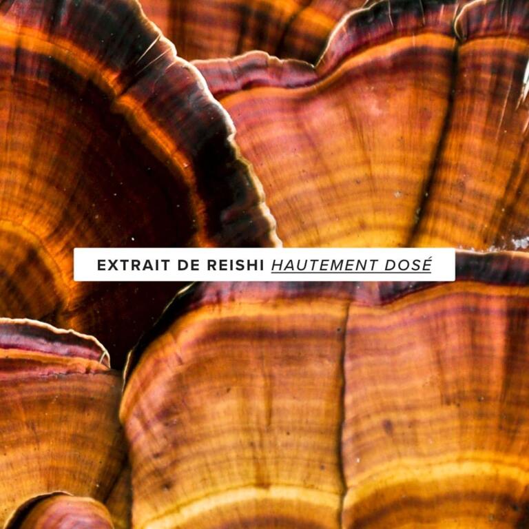 Reishi titré 900mg