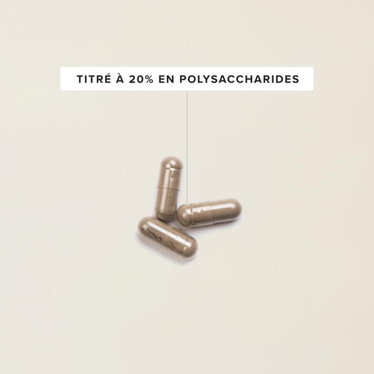 Reishi titré 900mg