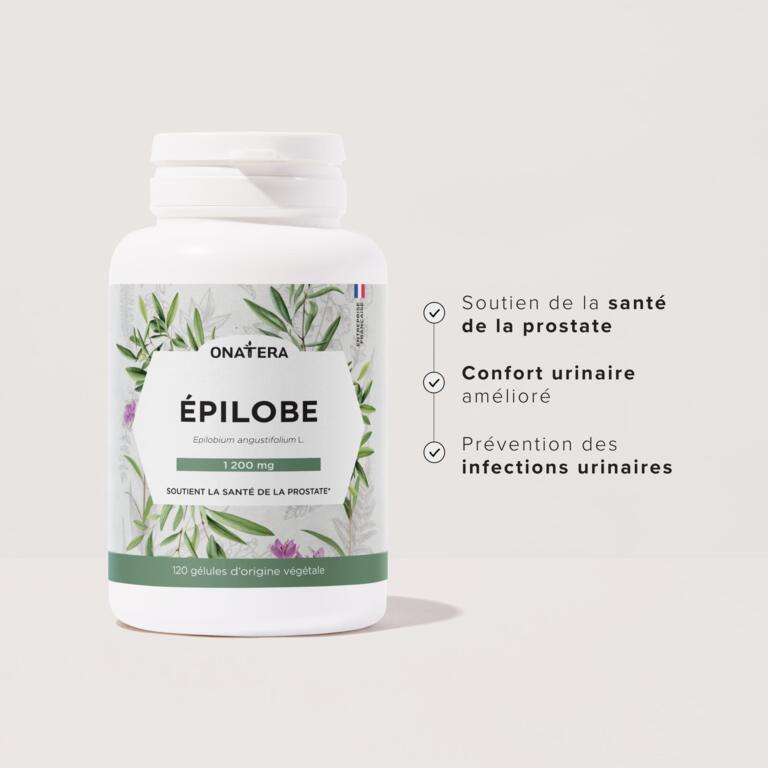 Épilobe