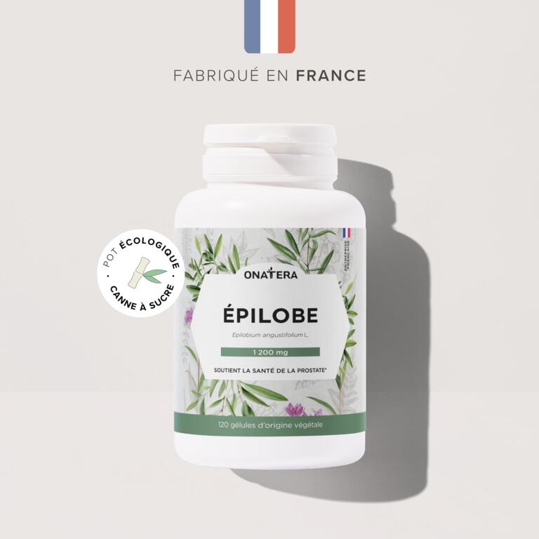 Épilobe