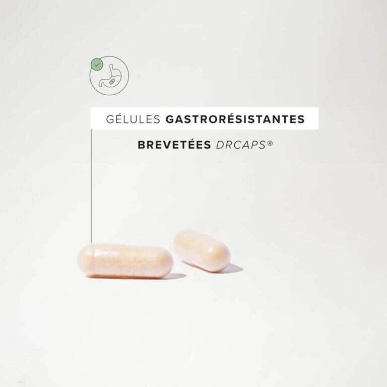 Complexe Probiotiques Stress