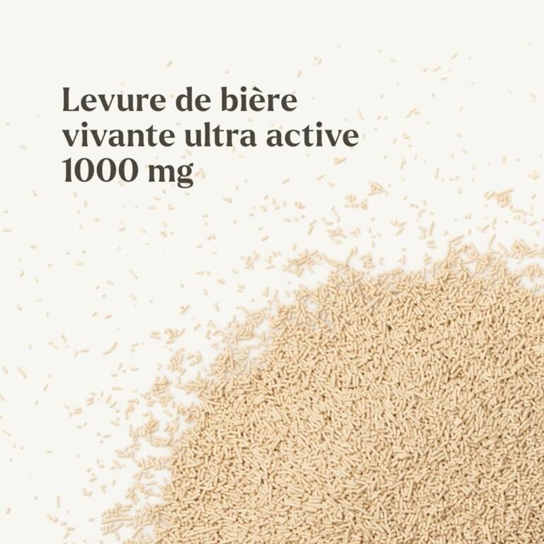 Levure de bière Vivante Bio 1000mg