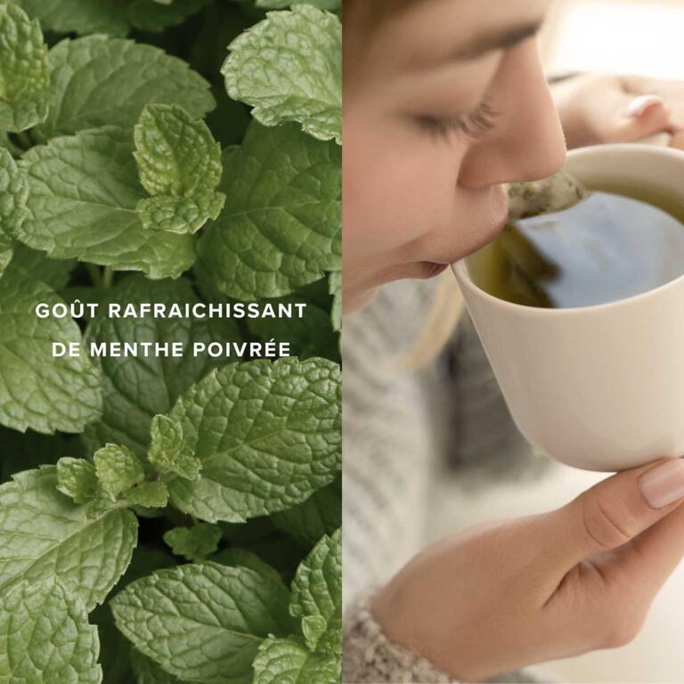 Tisane Menthe Poivrée Bio