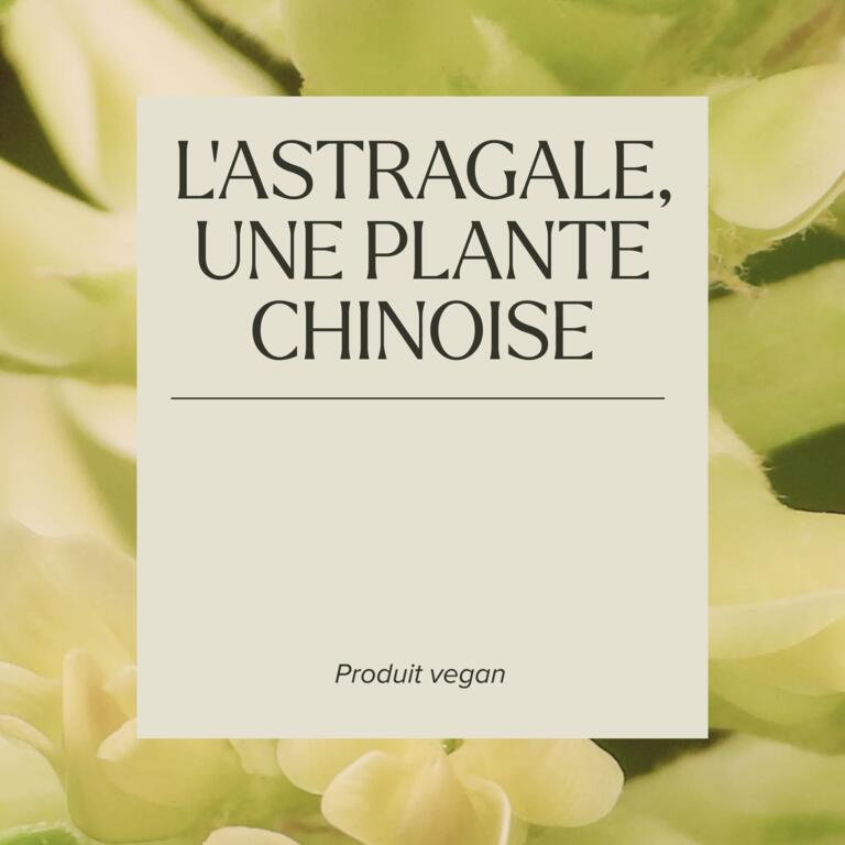 Astragale 600 mg