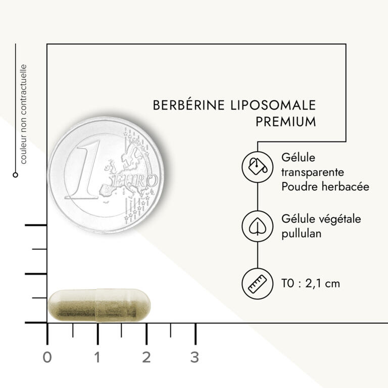 Berbérine liposomale premium