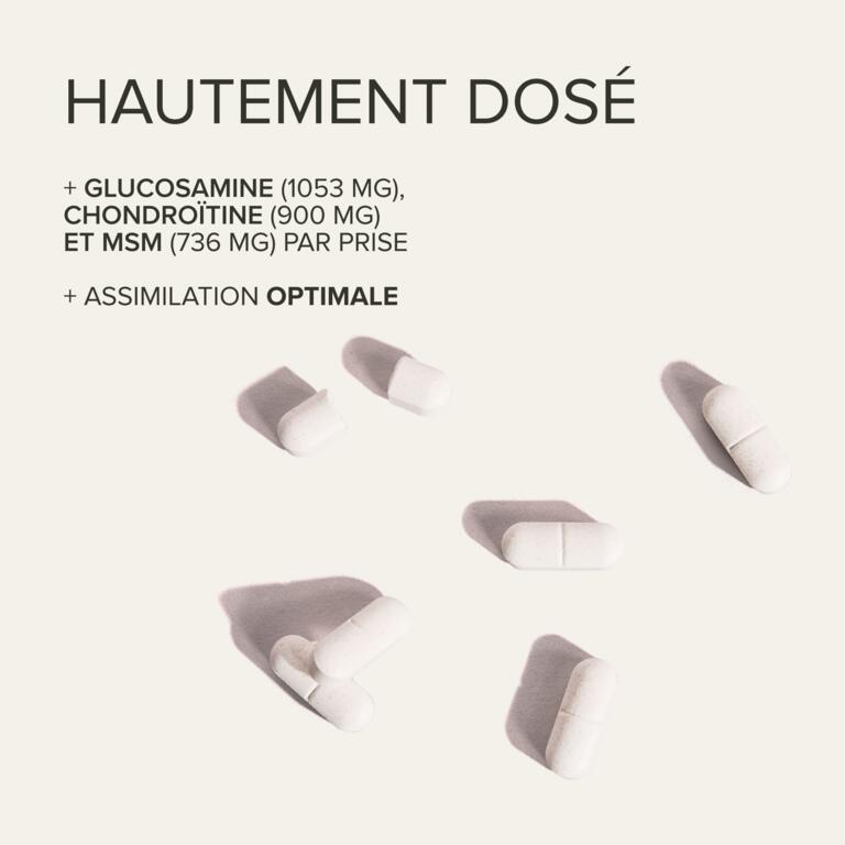 Gluco - Chondro - MSM