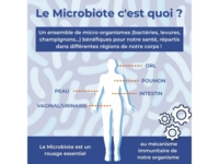 Microbiote fort Système Immunitaire