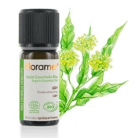 10 ml