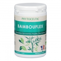 Bambouflex