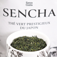 Pack thé du Japon Bio